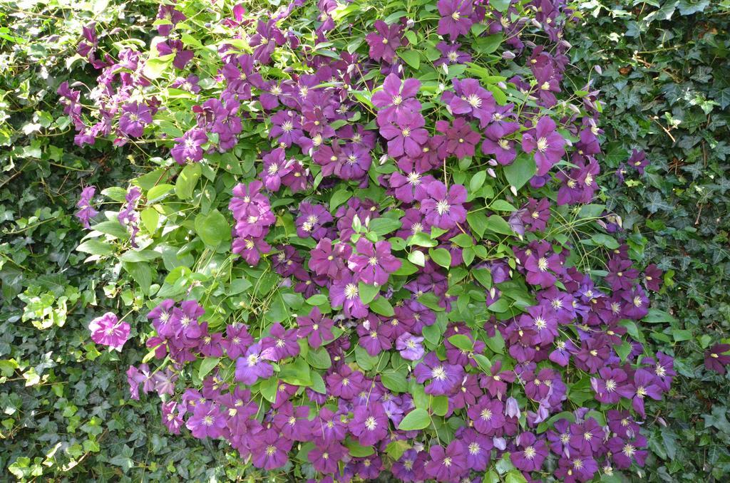 Bloemenhoeve Bed & Breakfast Birdaard Luaran gambar